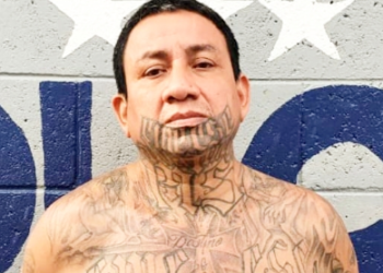 Peligroso extorsionista alias “Guanaco” es capturado en Mejicanos