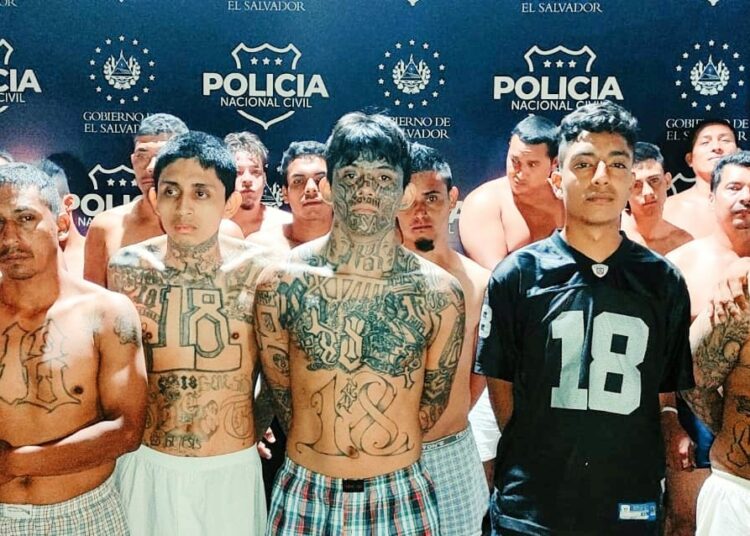 PNC reporta capturas de 45 pandilleros en Santa Ana