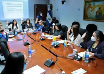 Comisión de la Mujer emite dictamen favorable para declarar el 14 de marzo el Día Nacional de la Endometriosis