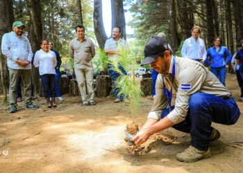 Día de la Tierra: Un llamado al activismo por nuestro planeta