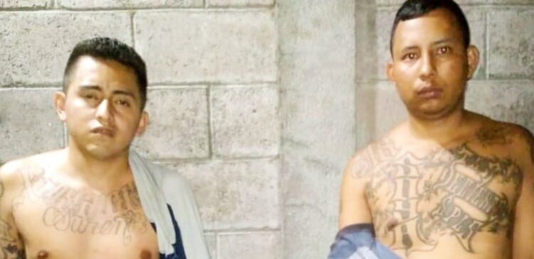Pandilleros son sorprendidos con porciones de marihuana por la PNC