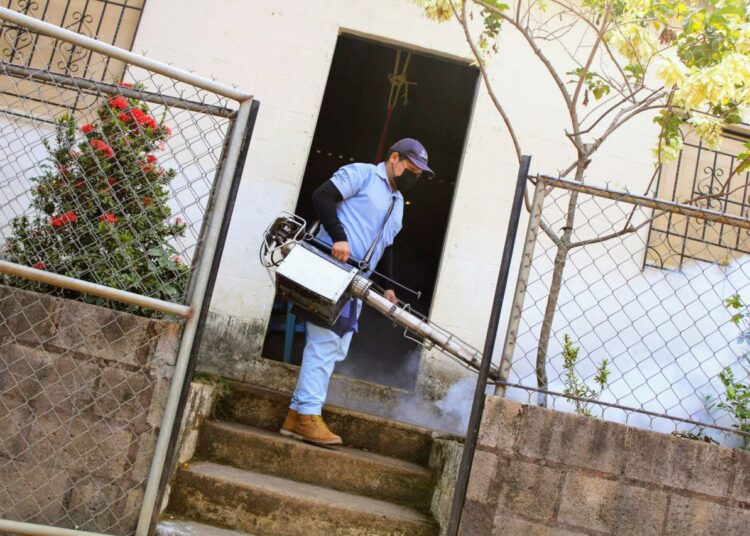 Ministerio de Salud desarrolla jornadas para evitar la proliferación de criaderos de zancudos