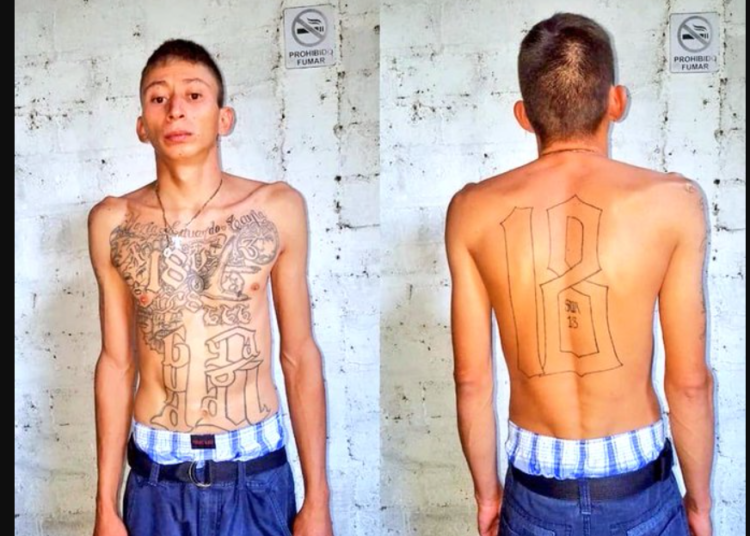 Pandilleros que cometían crímenes en Mejicanos y San José Guayabal son capturados por las autoridades