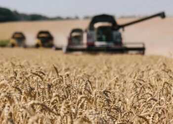 La ONU alertó que los precios internacionales de los alimentos alcanzaron un nuevo récord histórico