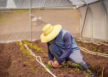 Extienden por tres días más la inscripción al Registro Único de Productores Agroalimentarios