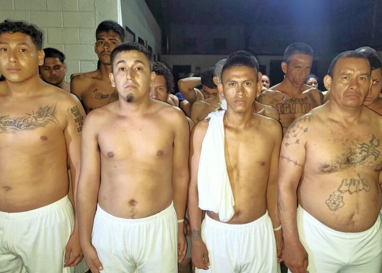 Capturan 52 terroristas en diferentes sectores de Santa Ana durante horas de la madrugada