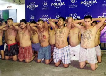 Capturan a 94 pandilleros durante horas de la madrugada entre Santa Ana, San Salvador y Cuscatlán