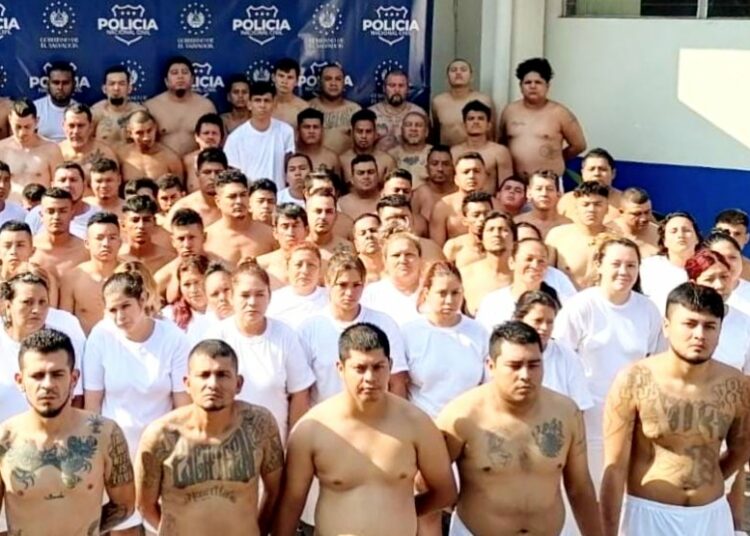 Capturan a otros 101 terroristas entre Soyapango, Ilopango y San Martín