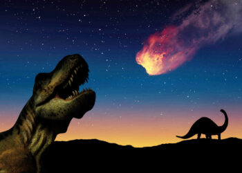 Descubren en EE.UU. los restos fosilizados de un dinosaurio que se cree que murió el día que cayó un asteroide a la Tierra