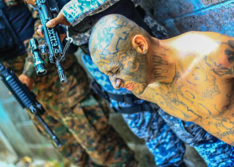 “¿Por qué le violan los derechos humanos a ese angelito?”: Nayib Bukele ante captura de «El Maligno»