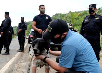 Fallece Furst, destacado agente canino de la PNC