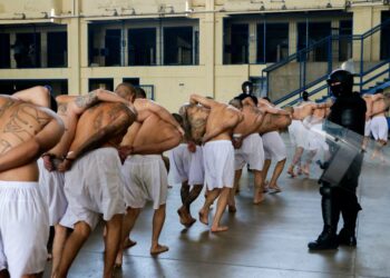 Más de 5,000 pandilleros han sido capturados en la primera semana de Régimen de Excepción