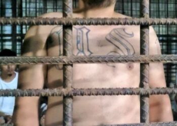 Diputados de Nuevas Ideas responsabilizan a Arena y Fmln «de haber institucionalizado a las maras» en el país