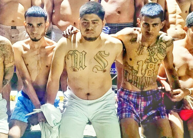 Guerra contra las pandillas: Operativo en Santa Ana deja a 42 mareros capturados