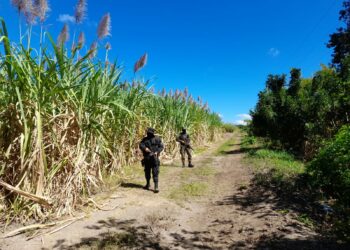 Se reduce presencia de pandillas en zonas cañeras gracias a operatividad policial
