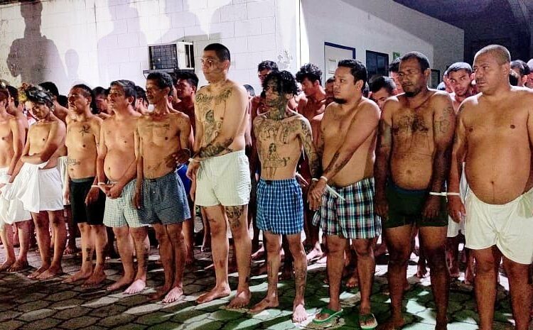 Capturan 116 peligrosos terroristas en Santa Ana