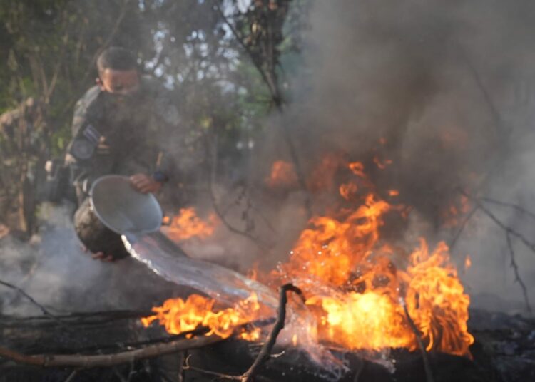Ministro de Defensa lidera extinción de incendio en cantón San Julián, Acajutla