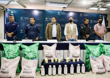 MAG iniciará con la entrega de 600 paquetes agrícolas