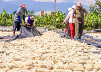 Asamblea aprueba reforma a la Ley de Presupuesto 2022 para incorporar $5 millones al ramo Agricultura