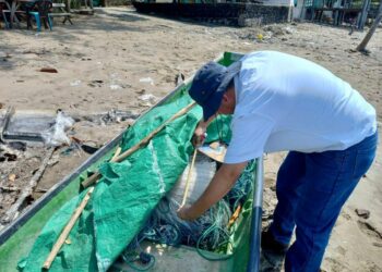 Agricultura inspecciona cumplimiento de veda a la pesca de camarón