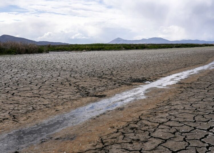 El sur de California toma medidas excepcionales para hacer frente a la sequía