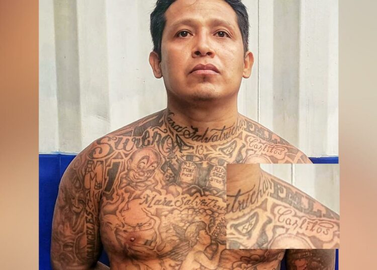 Capturan a pandillero con tatuaje alusivo al FMLN