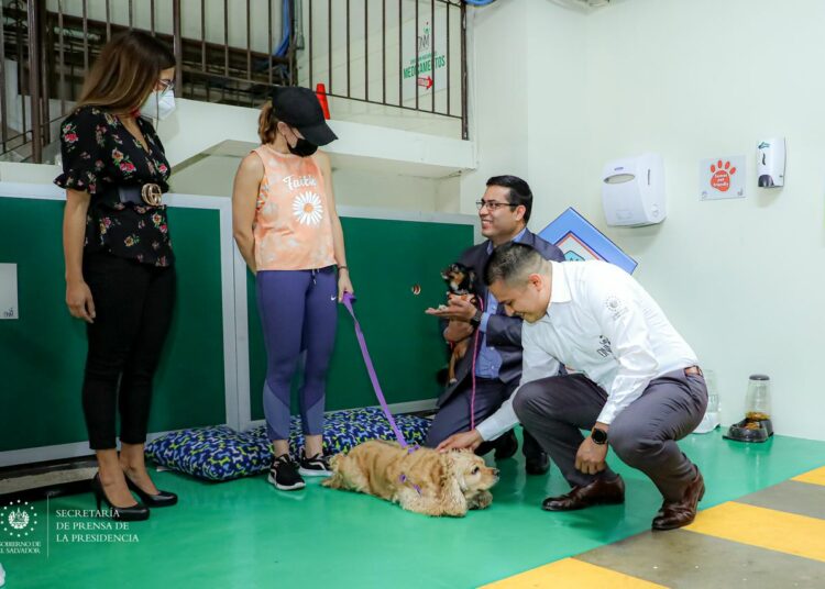 Dirección Nacional de Medicamentos inauguró zona ‘pet friendly’ dentro de la institución