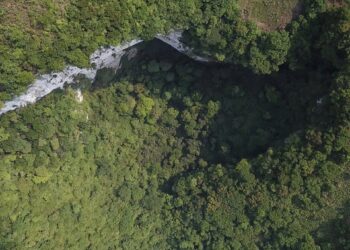 Descubren en China un enorme socavón con un bosque dentro