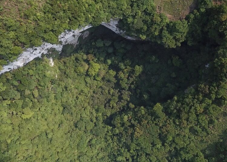 Descubren en China un enorme socavón con un bosque dentro
