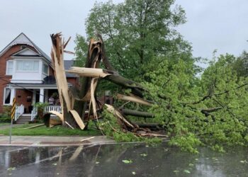 Tormentas en Canadá dejan al menos ocho fallecidos