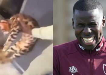 El defensor francés Kurt Zouma del West Ham acusado de golpear a su gato se declaró culpable y podría ir a prisión