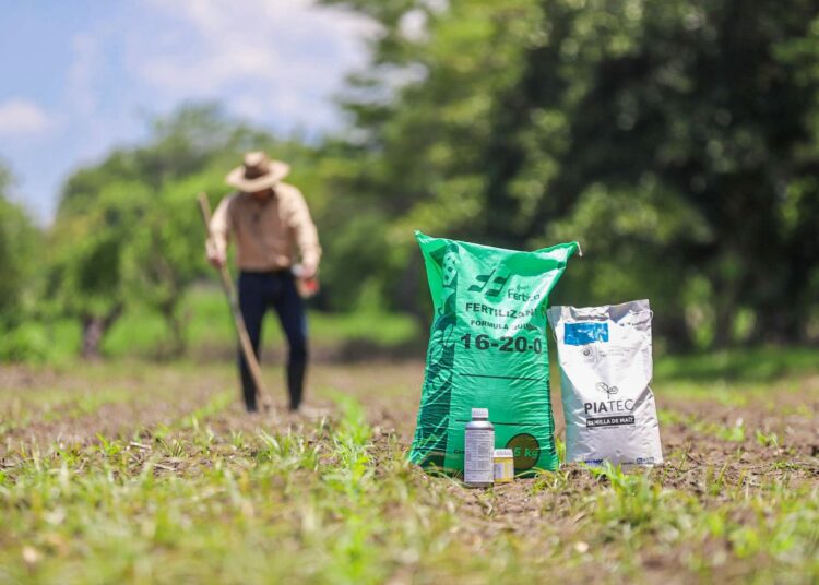 Ministerio de Agricultura inicia distribución de paquetes agrícolas a productores de granos básicos