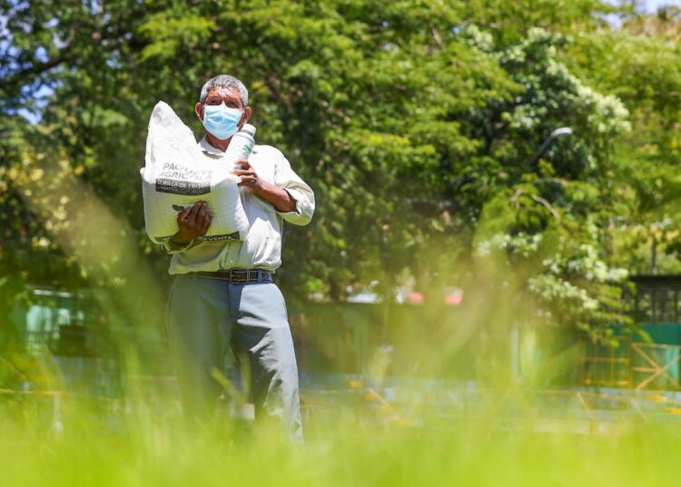 Gobierno entregará paquetes agrícolas en las zonas central y occidental del país