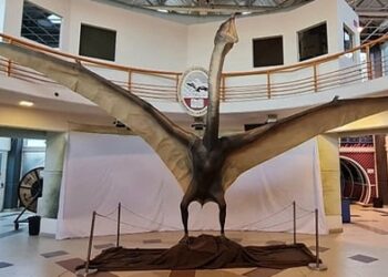 Descubren en los Andes argentinos uno de los mayores reptiles voladores