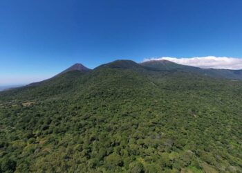 Gobierno fortalece programa de incentivos ambientales para estimular la restauración de ecosistemas