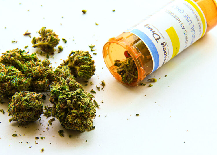 Argentina: Alberto Fernández promulga ley que regula industria del cannabis medicinal