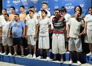 Capturan a 19 terroristas en San Martín