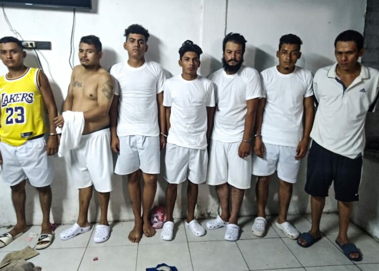 Se reportan siete terroristas capturados en San Martín