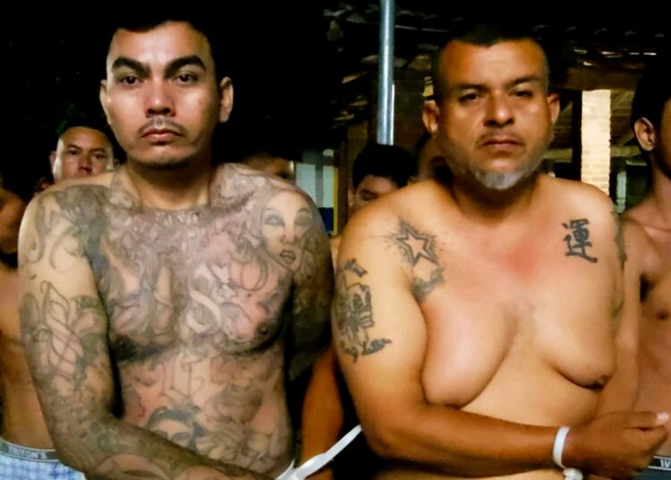 Capturan otros 41 terroristas en Santa Ana