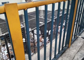 PNC reporta 533 capturados el sábado bajo acusaciones de pertenecer a pandillas