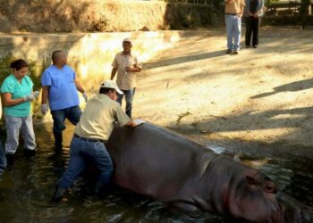 Aprueban indemnizar a trabajadores que sean despedidos del Parque Zoológico Nacional