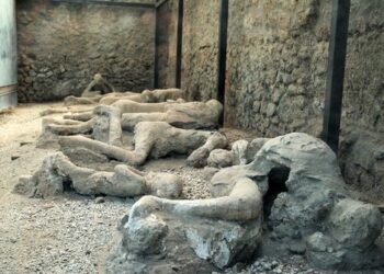 Secuencian el primer genoma humano de una víctima de Pompeya