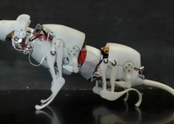 Esta increíble rata robótica podría salvarte la vida en el futuro