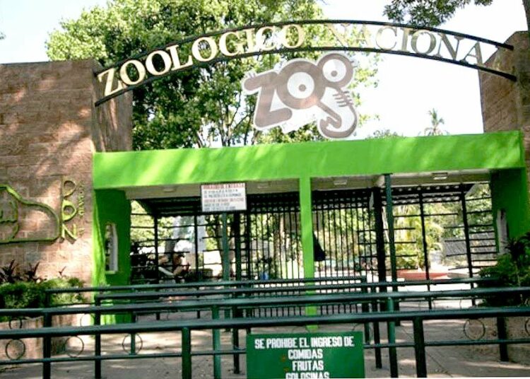 Gobierno propone cierre definitivo del Zoológico Nacional
