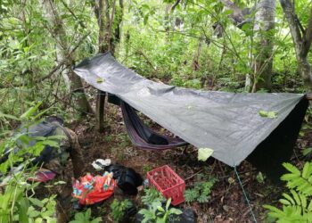 Desmantelan nuevo campamento de pandilleros que intentan esconderse de la ley