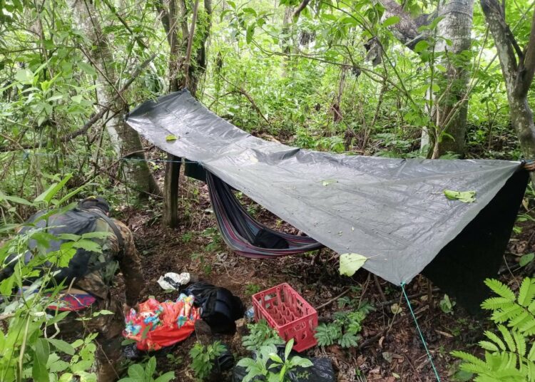 Desmantelan nuevo campamento de pandilleros que intentan esconderse de la ley