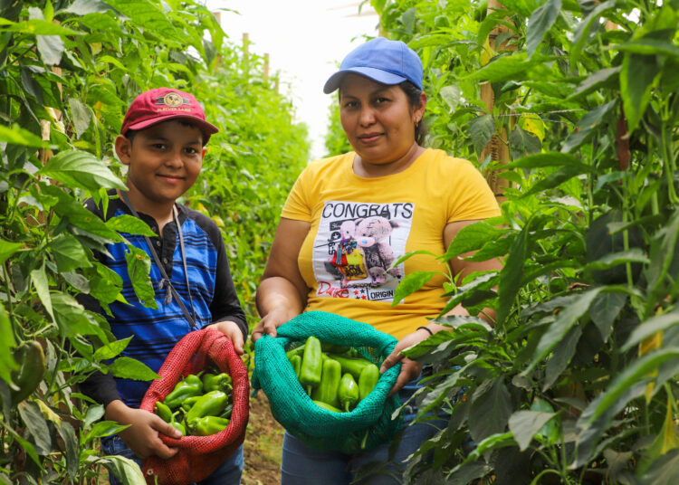 Gobierno del Presidente Bukele anuncia acciones de apoyo al sector ganadero