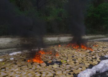 Autoridades de Seguridad destruyeron incautación de droga valorada en más de 17 millones