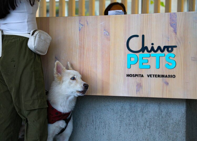 Más de 124,000 consultas alcanzadas en el Hospital Veterinario Chivo Pets a tan solo tres meses de haber iniciado funciones