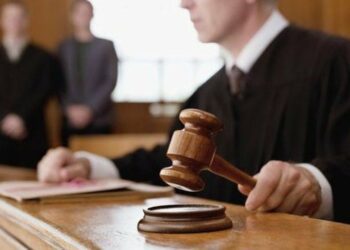 Para impedir un juicio liberan cientos de cucarachas en la Corte